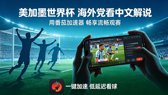 在俄罗斯看央视频世界杯中文直播海外无法观看教程